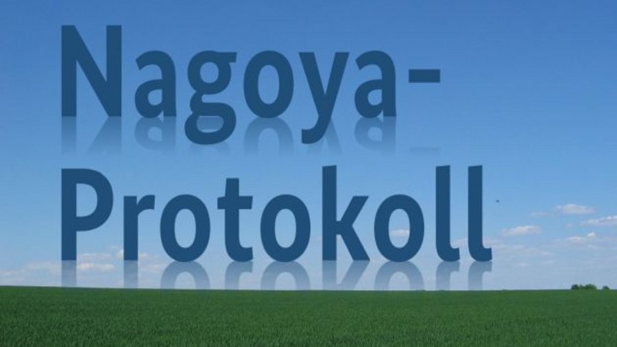 Das Wort "Nagoya-Protokoll" auf einem Lanschaftsbild