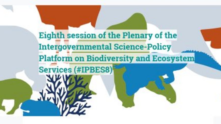 Logo 8. Session of IPBES