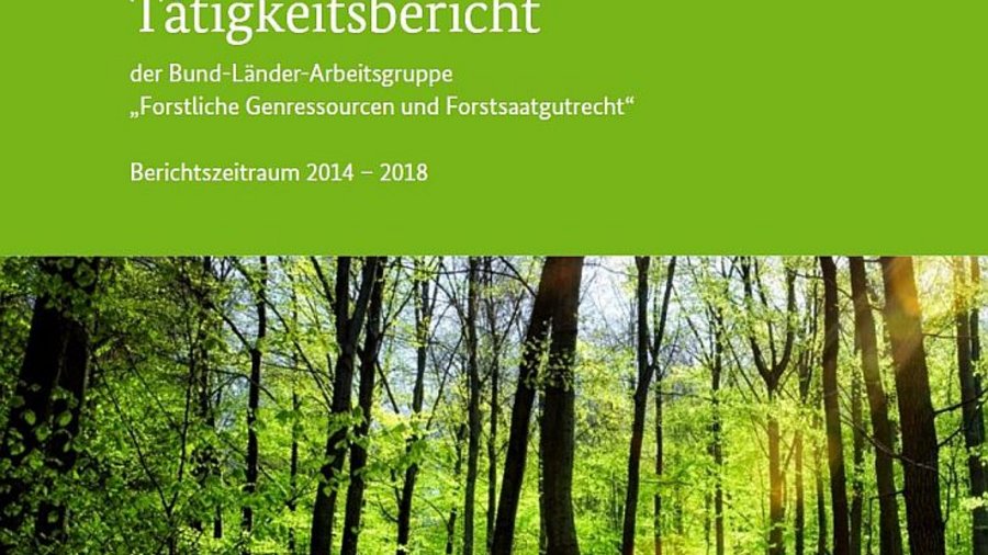Titelblatt des Tätigkeitsberichtes mit Abbildung eines Waldes. Mausklick führt zur vergrößerten Ansicht