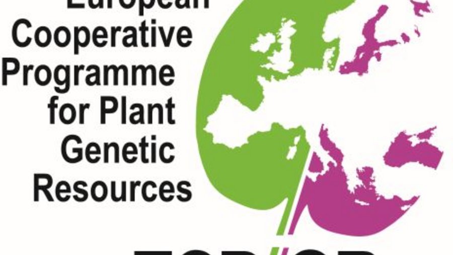 Logo des Europäischen Koopertionsprogramm Pflanzengenetische Ressourcen (ECPGR)