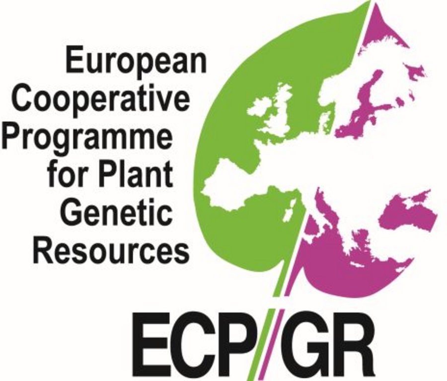 Logo des Europäischen Koopertionsprogramm Pflanzengenetische Ressourcen (ECPGR)