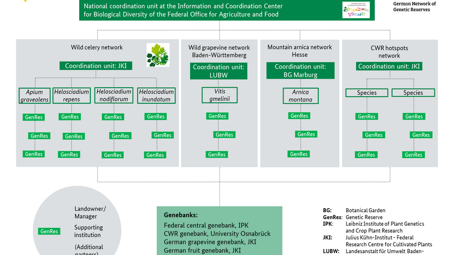 Structure of the German Network of Genetic Reserves 