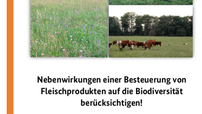 Das Bild zeigt die Titelseite der Stellungnahme.