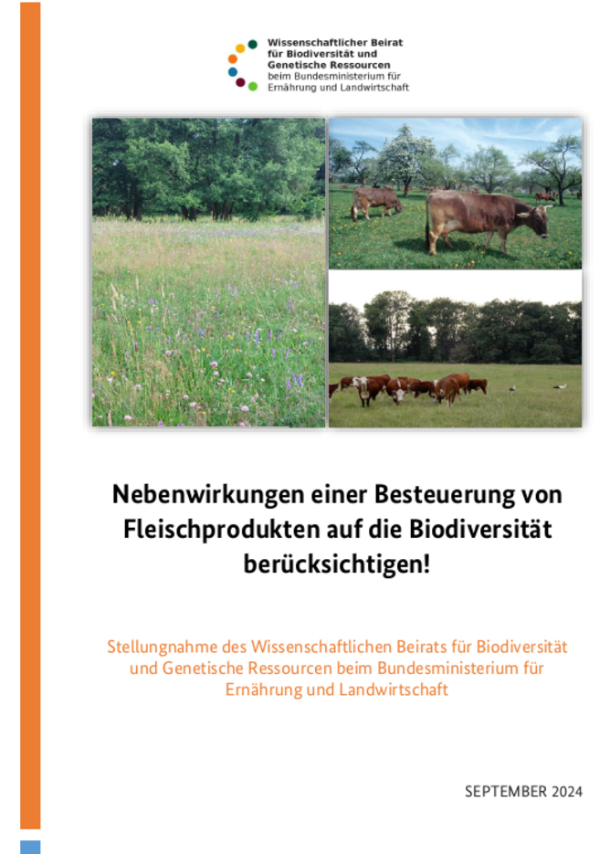 Das Bild zeigt die Titelseite der Stellungnahme.