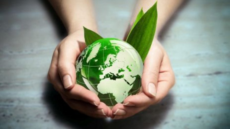 Hand holding globe with leaves. Click leads to enlarged view.