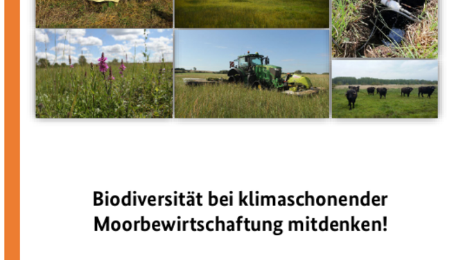 Titelseite Stellungnahme "Biodiversität bei klimaschonender Moorbewirtschaftung mitdenken!"