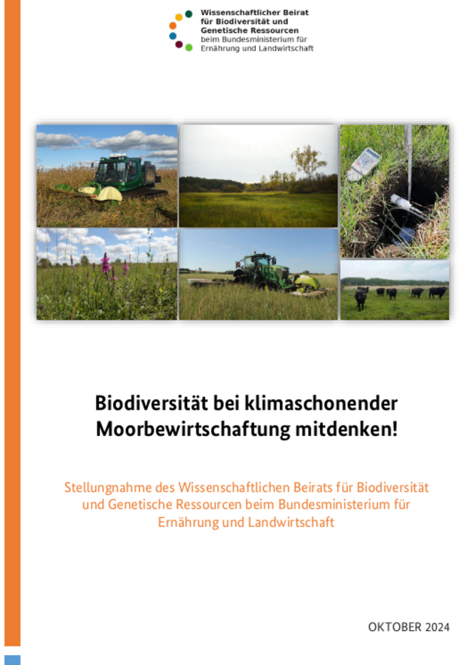 Titelseite Stellungnahme "Biodiversität bei klimaschonender Moorbewirtschaftung mitdenken!"