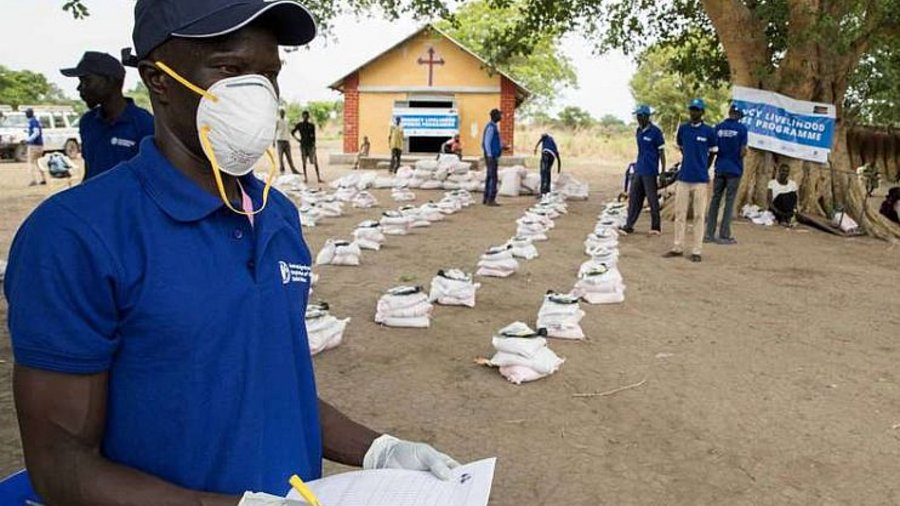 FAO staff distributing seeds