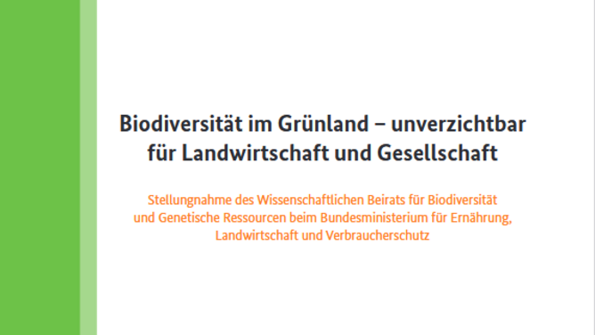 Titelseite Stellungnahme "Biodiversität im Grünland - unverzichtbar für Landwirtschaft und Gesellschaft"