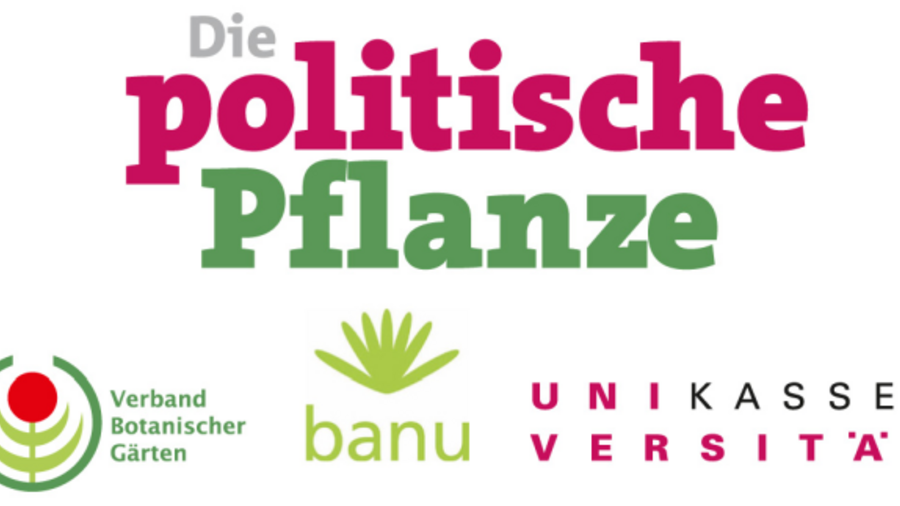 Schriftzug des Projektes "Politische Pflanze"