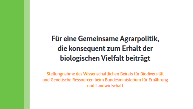 Titelseite Stellungnahme "Für eine Gemeinsame Agrarpolitik, die konsequent zum Erhalt der biologischen Vielfalt beiträgt"