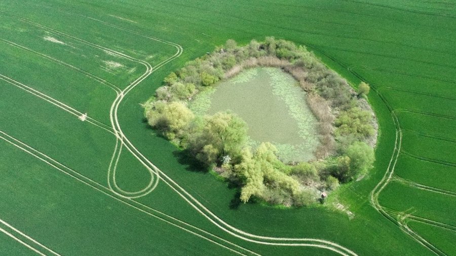 Blick von oben auf einen Soll mit Uferbewuchs im Agrarland