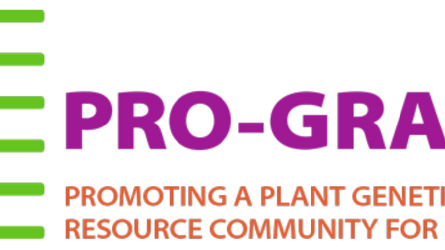 Logo mit Schriftzug "Pro Grace"