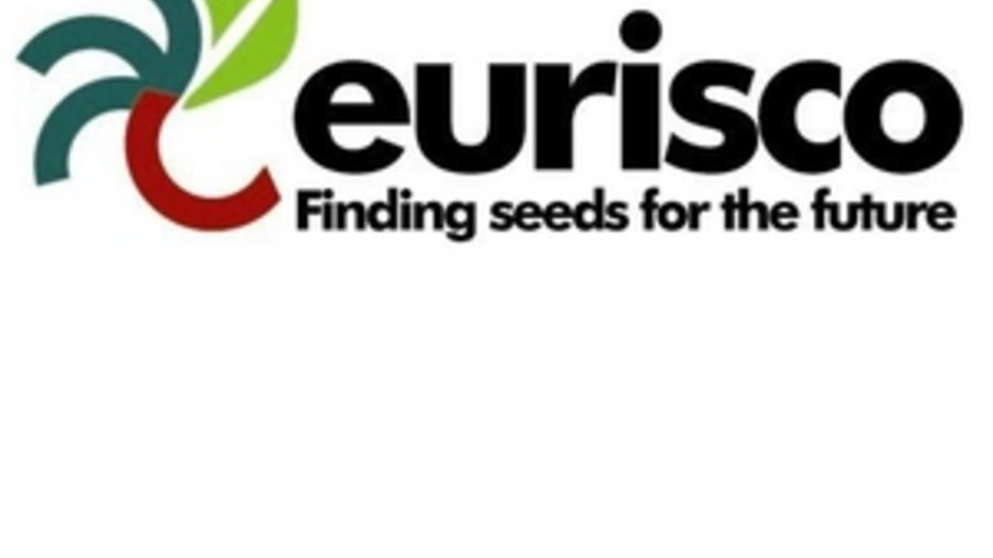 Die Abbildung zeigt das Logo von Eurisco, einen schwarzen Schriftzug mit einem stilisierten Saatkorn.