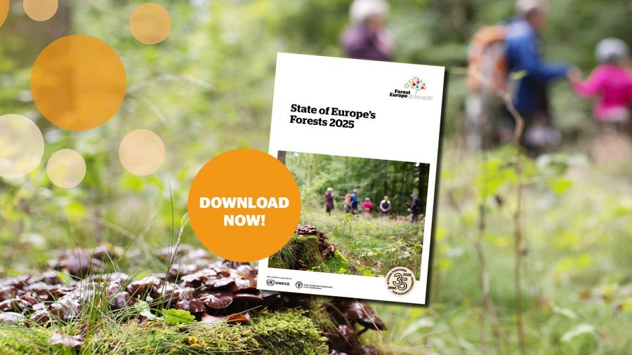 Das Bild zeigt die Titelseite des Zustandsberichts europäischer Wälder 2025. Im Hintergrund ist eine Wandergruppe im Wald zu sehen.
