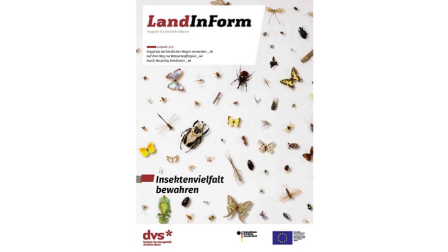 [Translate to en:] Titelbild der Ausgabe zu Insekentvielfalt des Magazins LandInForm