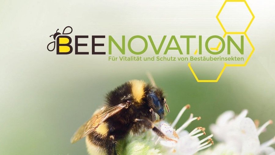 Hummel auf Blüte mit Logo von MonViA
