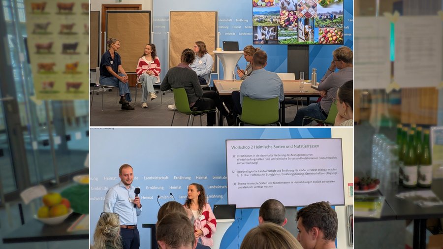 Die Bildcollage zeigt Teilnehmende des Workshops im gemeinsamen Austausch.