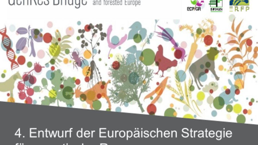 GenRes Bridge Titelbild mit einer bunten Darstellung der biologischen Vielfalt bestehend aus Tieren, Pflanzen und Bäumen.