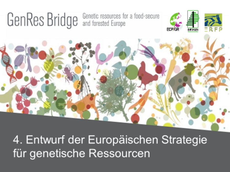 GenRes Bridge Titelbild mit einer bunten Darstellung der biologischen Vielfalt bestehend aus Tieren, Pflanzen und Bäumen.