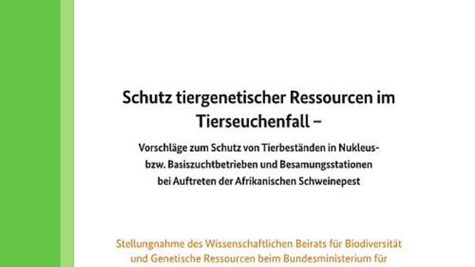 Titelseite Stellungnahme "Schutz tiergenetischer Ressourcen im Tierseuchenfall"