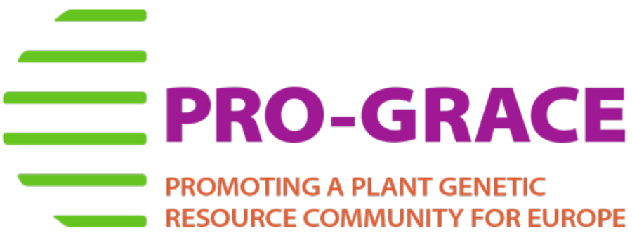 Logo mit Schriftzug "Pro Grace"