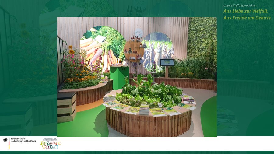 Das Bild zeigt den IBV Vielfaltsstand auf der Grünen Woche 2026, im Vordergrund ist eine Salatbeet angelegt mit 5 unterschiedlichen alten Salatsorten und im Hintergrund sieht man ein Regal mit Vielfaltsprodukten von alten Sorten und Rassen wie Apfelsaft, Käse und Wurst.