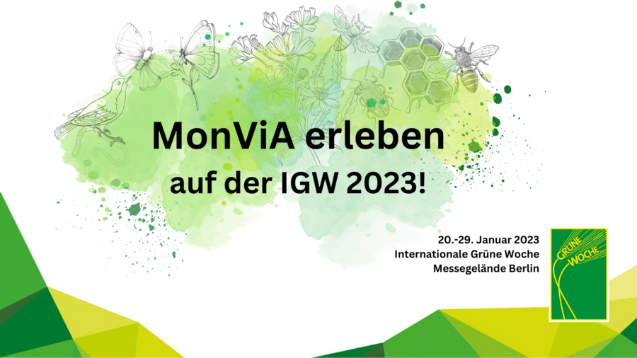 Auf dem Bild steht "MonViA erleben auf der IGW 2023". Im Hintergrund befinden sich Zeichnungen von verschiedenen Tier- und Pflanzenarten
