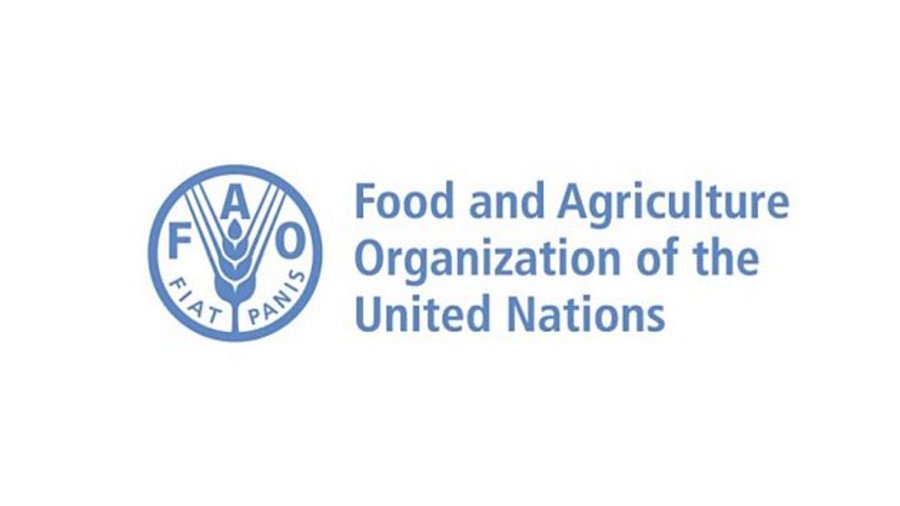 Logo der Welternährungsorganisation FAO