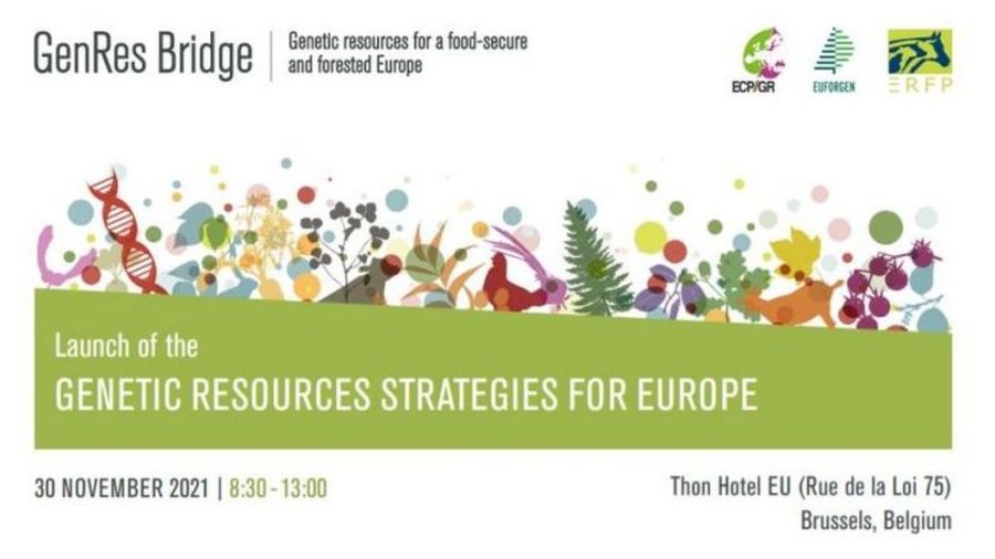 Veranstaltungshinweis für den 30. November in Brüssel für die Vorstellung der Strategie für genetische Ressourcen in Europa