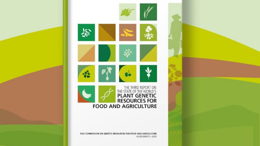 Titelblatt des dritten Weltzustandsberichts für pflanzengenetische Ressourcen für Ernährung und Landwirtschaft vor einem grünen Hintergrund.