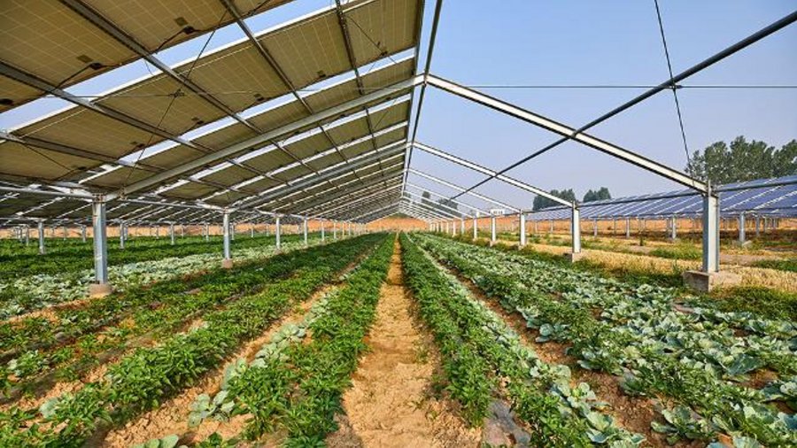 Das Bild zeigt ein Solargewächshaus.