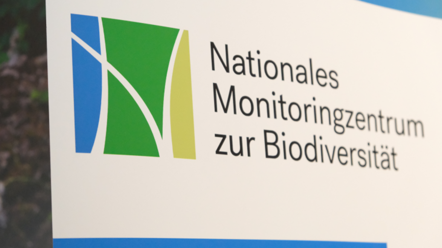 Roll-Up des Nationalen Monitoringzentrums zur Biodiversität mit grün-blauem Logo.