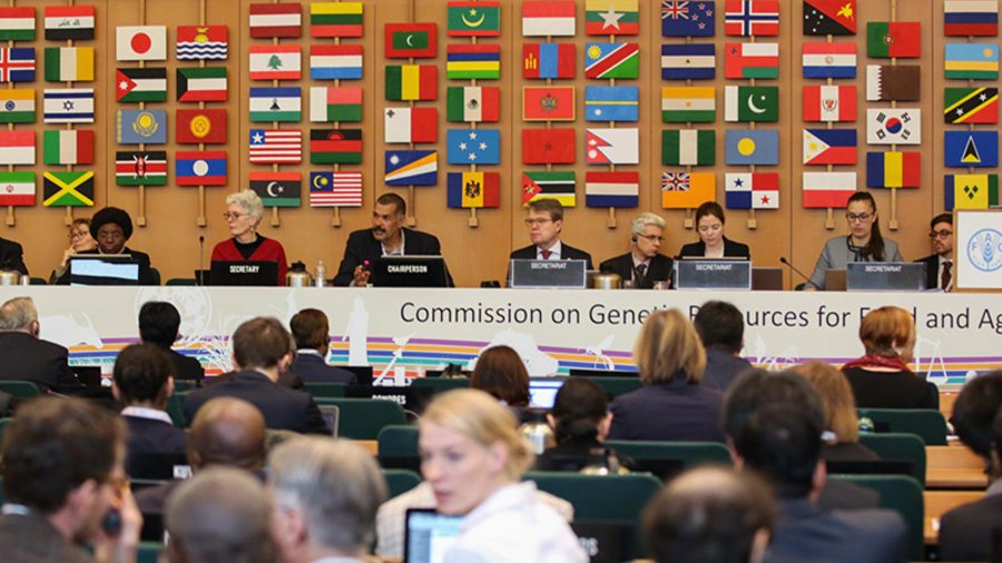 Sitzungssaal der FAO mit Länderflaggen auf der Rückwand 